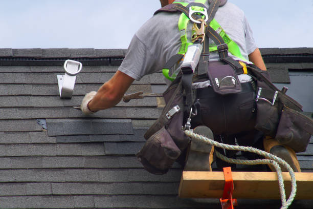 Best Affordable Roofing Company  in La Paloma, TX