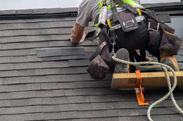 Best Storm Damage Roof Repair  in La Paloma, TX