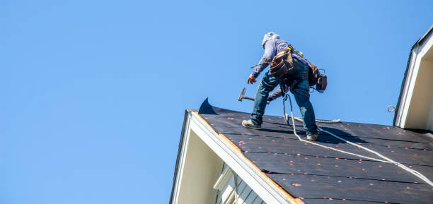 Best New Roof Installation  in La Paloma, TX